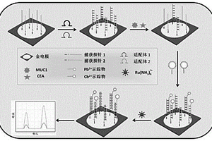 同時檢測兩種腫瘤標(biāo)志物的電化學(xué)方法