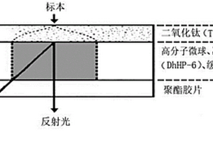 基于次血紅素六肽的干化學過氧化氫檢測方法