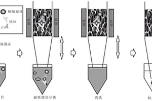 PD-L1外泌體的磁免疫化學(xué)發(fā)光檢測(cè)方法