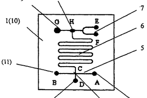 隧道毛細(xì)管電泳化學(xué)發(fā)光檢測(cè)微流控芯片