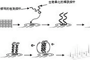 檢測尿路病原菌16SrRNA的電化學(xué)生物芯片及其技術(shù)應(yīng)用