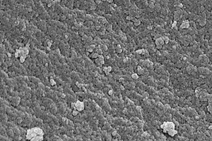 β<sub>2</sub>-受體興奮劑的廣譜特異性分子印跡聚合物、化學(xué)發(fā)光試劑盒及檢測(cè)方法和應(yīng)用