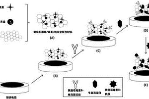 用于黃曲霉毒素B1檢測的電化學(xué)免疫傳感器的制備及使用方法