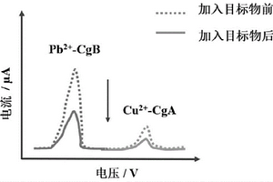 同時(shí)檢測(cè)兩種神經(jīng)內(nèi)分泌腫瘤標(biāo)志物的電化學(xué)免疫傳感器