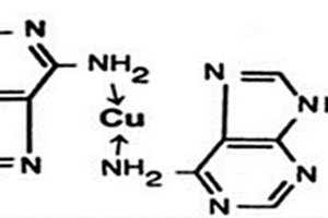 基于銅離子增敏的腺嘌呤和鳥嘌呤電化學(xué)檢測(cè)方法