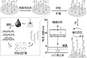 基于雙標(biāo)記擴(kuò)增的血漿循環(huán)甲基化DNA電化學(xué)檢測(cè)方法及試劑盒