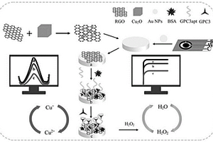 基于RGO-Cu2O納米材料的電化學(xué)傳感器雙信號(hào)檢測(cè)GPC3的方法