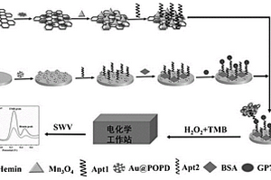 基于H-rGO-Mn3O4納米酶的夾心型電化學(xué)傳感器雙信號(hào)檢測(cè)GP73的方法