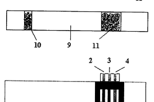 定量電化學(xué)生物檢測(cè)試紙條