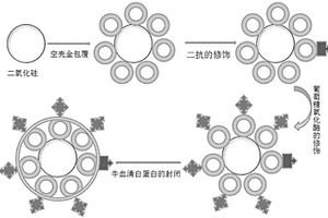 檢測(cè)腫瘤標(biāo)志物流動(dòng)注射化學(xué)發(fā)光免疫傳感器的制備及應(yīng)用