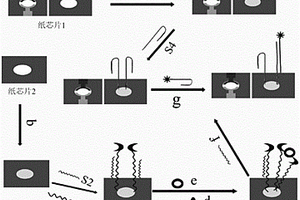 紙基電化學(xué)發(fā)光轉(zhuǎn)化器的制備及在癌胚抗原檢測(cè)中的應(yīng)用