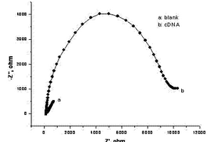 檢測(cè)腫瘤標(biāo)志物的生物電化學(xué)傳感器及其制備方法