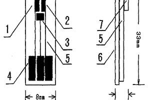 農(nóng)藥檢測(cè)用納米修飾微型電化學(xué)生物傳感器的制法