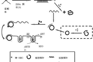 檢測(cè)三價(jià)砷的化學(xué)發(fā)光傳感器及其制備方法