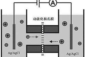 基于功能化核孔膜的CA50抗原電化學檢測方法