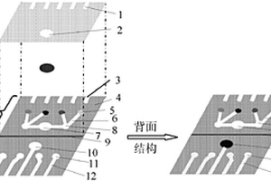 多參數(shù)紙芯片電化學(xué)免疫傳感器及肺癌標(biāo)志物檢測(cè)方法