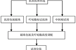 檢測單純皰疹病毒1+2型IgM抗體的化學(xué)發(fā)光免疫分析試劑盒及其制備方法