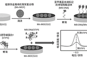 檢測應(yīng)激誘導(dǎo)磷蛋白的納米電化學(xué)適體傳感器的制備方法