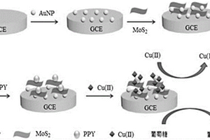 基于MoS<sub>2</sub>-AuNPs-PPY復(fù)合材料無(wú)酶檢測(cè)葡萄糖的電化學(xué)傳感方法