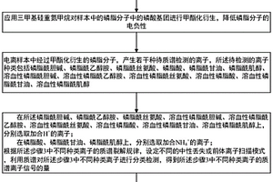 基于化學(xué)衍生的磷脂分類檢測和定量方法