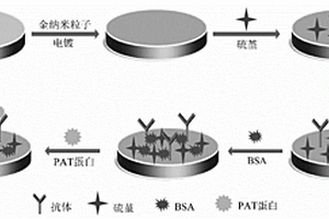 檢測轉(zhuǎn)基因蛋白的無標(biāo)記型AuNPs-Thi電化學(xué)免疫傳感器及其制備方法