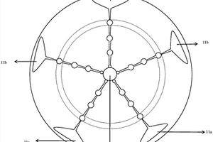 基于磁微粒的微流控化學(xué)發(fā)光檢測系統(tǒng)及其應(yīng)用