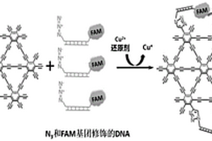 基于石墨炔和點(diǎn)擊化學(xué)的銅離子的檢測方法、試劑盒以及應(yīng)用