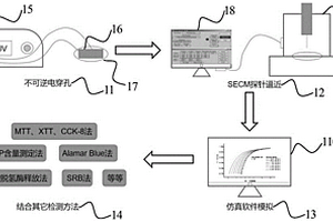 利用掃描電化學(xué)顯微鏡（SECM）檢測不可逆電穿孔程度的方法