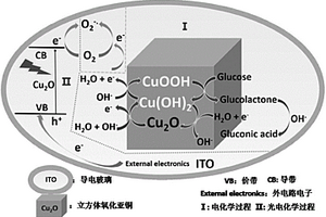 氧化亞銅薄膜基無酶-氧靈敏的葡萄糖光電化學(xué)傳感器的構(gòu)建方法和檢測方法