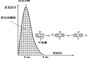 基于吖啶酯化學(xué)發(fā)光、鏈霉親和素磁珠-生物素放大反應(yīng)體系及檢測(cè)試劑盒