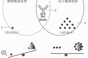 睪酮均相化學(xué)發(fā)光檢測(cè)試劑盒及其應(yīng)用