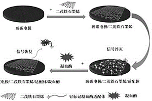 檢測(cè)凝血酶的電化學(xué)發(fā)光生物傳感器及其制備方法