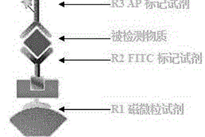 化學(xué)發(fā)光法聯(lián)合檢測丙肝病毒抗原-抗體的試劑盒