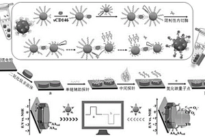 檢測癌癥標志物的信號翻轉(zhuǎn)型光電化學生物傳感器及其制備方法和應用