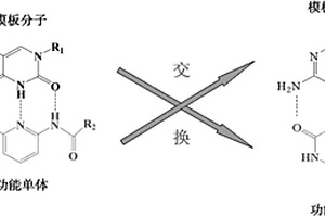 多氫鍵電化學(xué)傳感器及其制備方法和在三聚氰胺檢測中的應(yīng)用