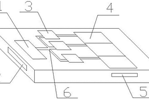 用于生物實(shí)驗(yàn)室檢測(cè)化學(xué)成份的實(shí)驗(yàn)芯片