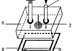 化學(xué)需氧量電化學(xué)分析儀