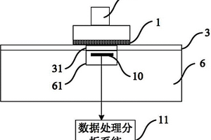 化學機械拋光終點偵測裝置及方法