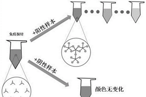 基于適配體納米金探針的CRP檢測(cè)探針及試劑盒