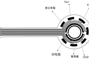 面向眼科疾病連續(xù)檢測的可穿戴診療一體化系統(tǒng)