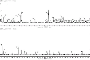 復(fù)方南星止痛膏檢測(cè)及其指紋圖譜構(gòu)建的方法