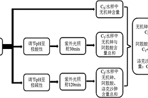 快速檢測(cè)水樣中阿散酸和洛克沙胂的方法