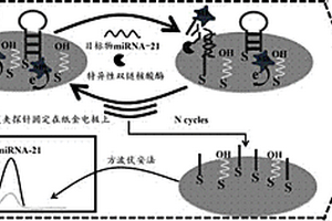 紙基靈敏檢測(cè)miRNA的方法