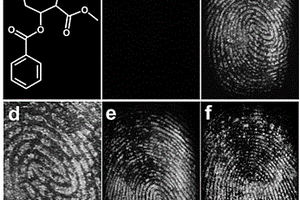 基于抗體功能化稀土發(fā)光材料的潛指紋檢測(cè)探針及其制備方法和應(yīng)用
