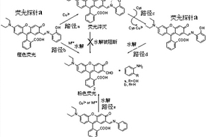 快速檢測半胱氨酸的熒光探針及其合成方法與應(yīng)用