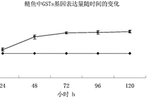 檢測(cè)水體中污染物的方法