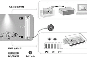 新型光電/可視化雙模式傳感器的構(gòu)建方法及其在嘔吐毒素檢測(cè)上的應(yīng)用