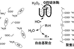 酶引發(fā)的自由基聚合反應(yīng)及檢測(cè)應(yīng)用