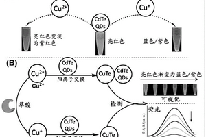 利用量子點檢測草酸的方法及應(yīng)用