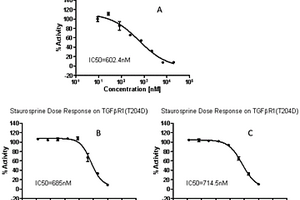 TGFβR1（T204D）酶活性的快速檢測(cè)方法及其應(yīng)用